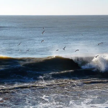 Le Caribo L'Epine (Vendee)